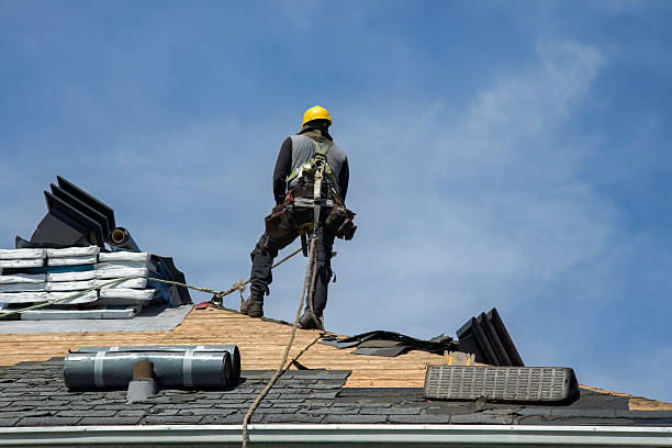 Professional Roof Replacement technician working in Whitt, TX